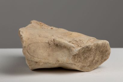 null 
Marble knee.




Roman period.




L_ 16.5 cm





All the stones, sculptures...