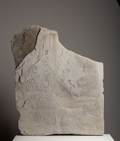 null 
Stone plate including a fish fossil.




H_83 cm L_66 cm



All the stones,...