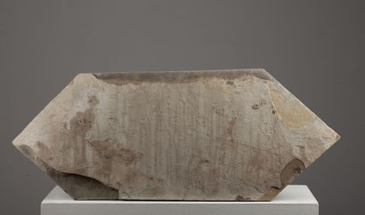 null 
Polished stone plate including a fish fossil.




H_33 cm L_84 cm.



All the...