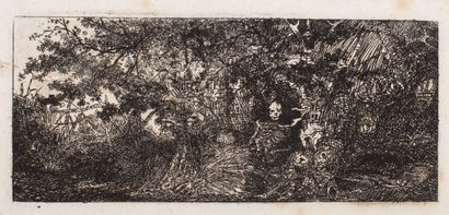  Rodolphe BRESDIN (1822-1885). 
La tentation de Saint-Antoine. 
Gravure en noir,...