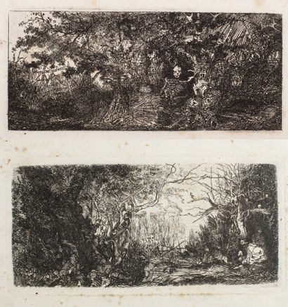 null Rodolphe BRESDIN (1822-1885).

La tentation de Saint-Antoine.

Gravure en noir,...
