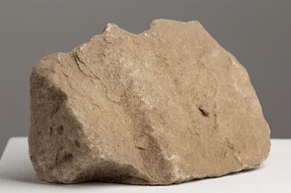 null 
Fragment of a marble frieze.





Roman period.





L_21 cm




