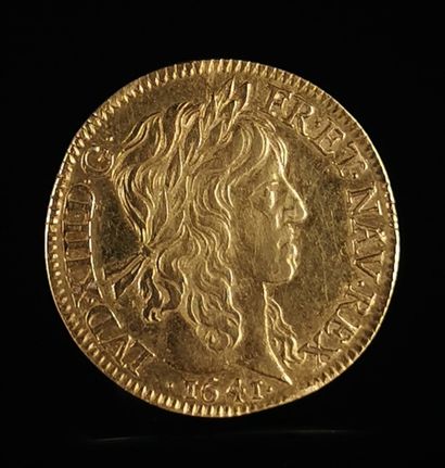 Louis XIII aux 8L en or. 

Mèche longue,...