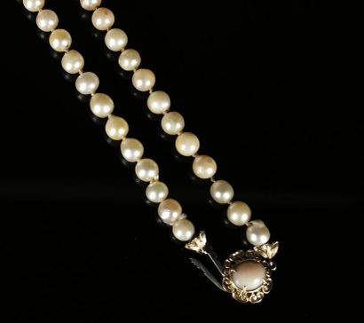 null Collier de perles de culture à fermoir en or jaune, à décor de fleur stylisée...