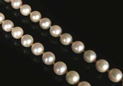 null Collier composé de soixante-treize perles de culture, le fermoir en or blanc.

L_...