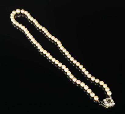null Collier de perles de culture, le fermoir en or gris orné de perles.

L_ 52.3...