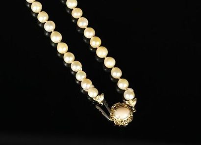 null Collier de perles de culture à fermoir en or jaune, à décor de fleur stylisée...