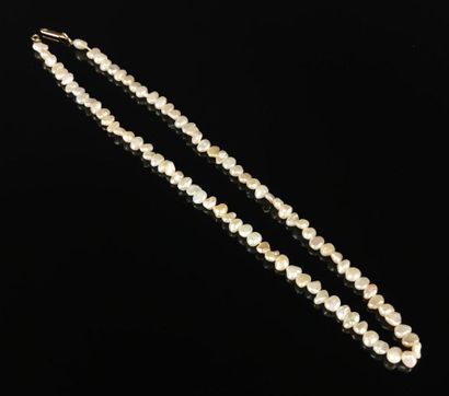 null Collier de perles d'eau douce, le fermoir en or jaune.
L_44 cm.
Poids brut :...