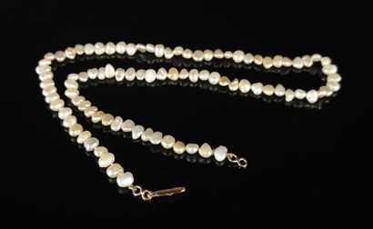 null Collier de perles d'eau douce, le fermoir en or jaune.
L_44 cm.
Poids brut :...