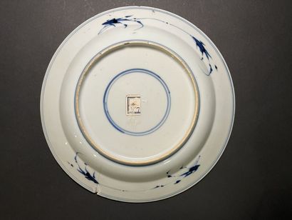 null CHINE, XVIIIème.
Assiette en porcelaine à décor rayonnant bleu.
D. :21 cm. 
Fêle...