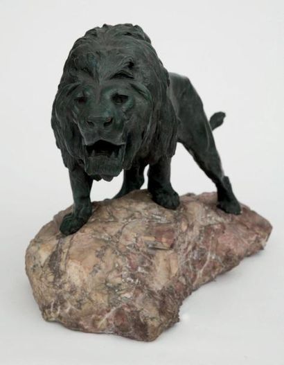 Prosper LECOURTIER (1855-1924-25) Lion rugissant Important groupe en bronze à patine...
