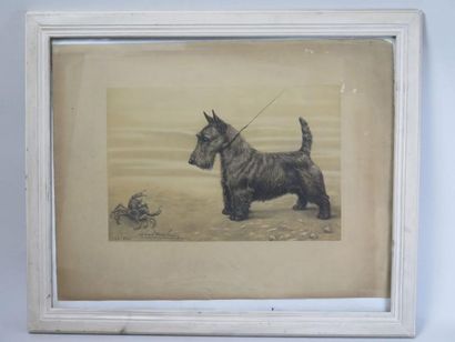 Léon DANCHIN (1887-1938) Scottish terrier et crabe Lithographie en noir Signée en...