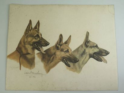 Léon DANCHIN (1887-1938) Trois malinois Lithographie en couleurs Signée en bas à...
