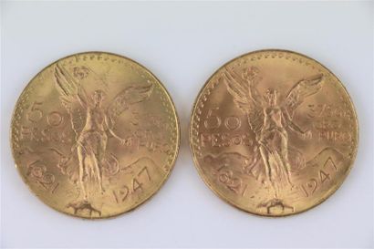 null Deux pièces de 50 pesos en or.

83,48 grammes