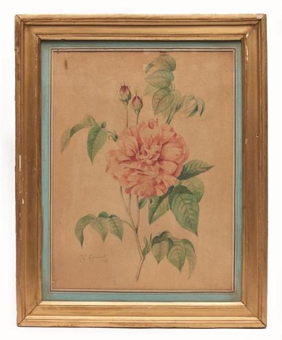 null Joseph Eugène GILBAULT (1800-1899).

Branchage de rosier, en fleurs.

Dessin...