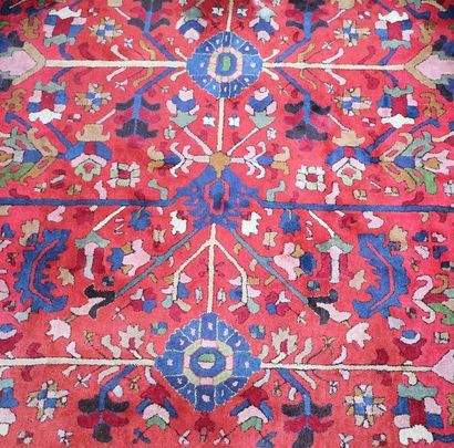 null Grand tapis en laine à fond rouge à décor de palmes et de motifs floraux.

L_345...