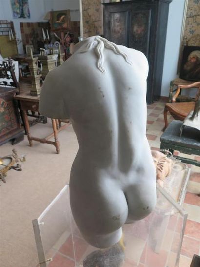 null Grand torse de femme d'après l'Antique en marbre blanc. 

H_60 cm 

