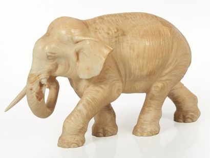 null JAPON, circa 1900-1910.

Eléphant en ivoire sculpté.

Sculpté au naturel, représenté...