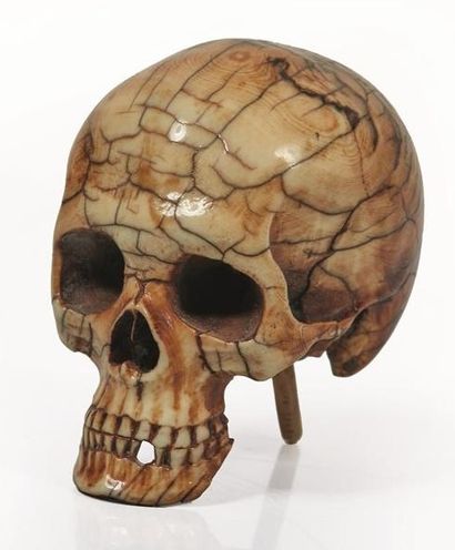 null JAPON, début du XXème siècle.

Okimono en ivoire représentant un crâne ; accident...