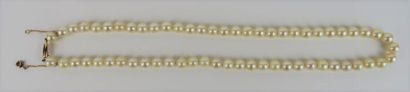 null Collier de perles de culture, le fermoir en or jaune.

L_46 cm, Poids brut :...
