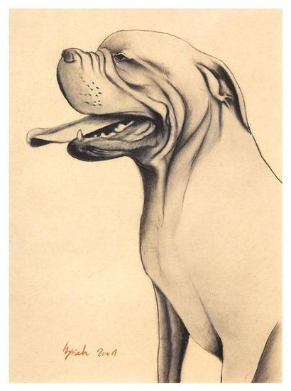 Thierry BISCH (1953). 

Bullmastiff. 

Fusain...
