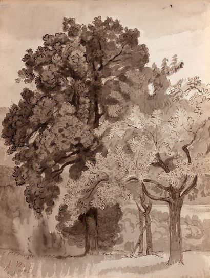 Armand POINT (Alger 1860-Naples1932) Paysage boisé
Plume et encre brune, lavis brun
34,3...