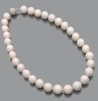 null Necklace made of a row of round cultured pearls of a slightly creamy white color....