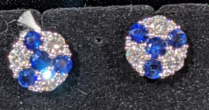 null Paire de boutons d'oreilles rosaces en or gris 18K (750/oo) sertis de diamant...