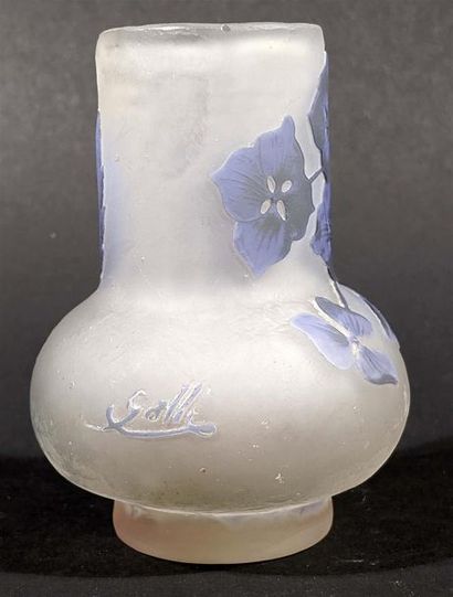 null Emile GALLE (1846-1904) - Vase in multilayer acid clear glass with blue petunias...