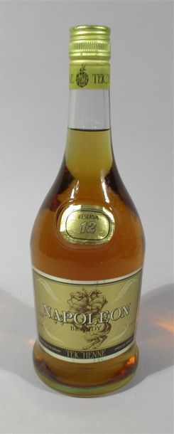 null 1 bouteille de BRANDY Napoléon Teichenne Reserva 12 Espagne 1 Litre 