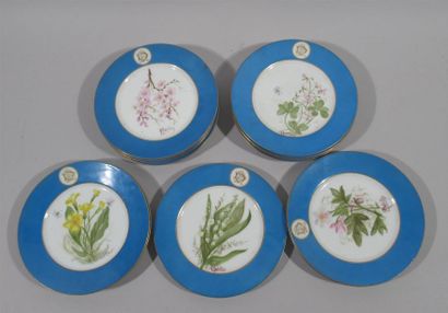 null LIMOGES France Réunion de 13 petites assiettes en porcelaine peintes par Alice...