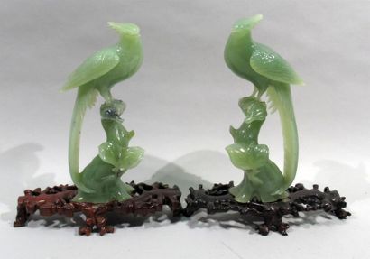 null CHINE 
Paire de groupe sculpté en jade représentant des phenix perchés sur une...