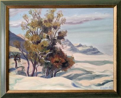 null E. DE DUNILAC (XX)
"Landscape with palm tree"
Oil on canvas signed lower right
Dims...