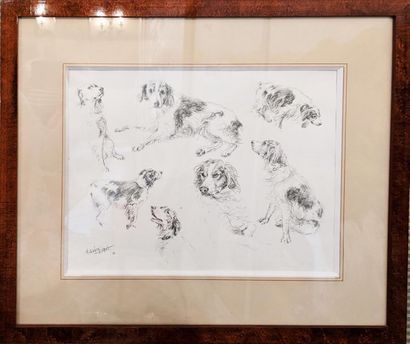 null Hubert de WATRIGANT (né en 1954)
"Esquisses de chien de chasse"
Crayon noir...