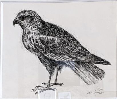 null Alain MILLET (?) (XX)
"Aigle"
Nib and black ink, signed and titled lower right
33...