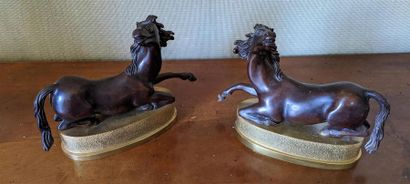 null PAIR OF BRONZES with brown patina representing two horses lying on oval terraces...