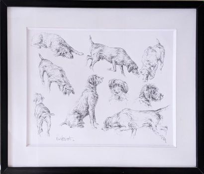 null Hubert de WATRIGANT (born 1954)
"Sketch of a hunting dog" Black
pencil signed...