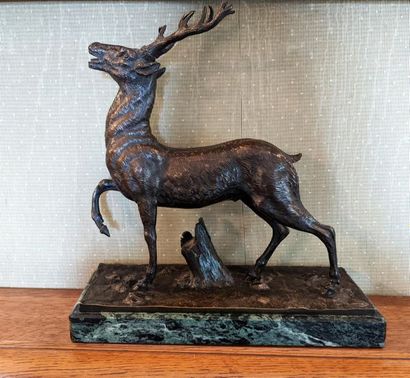 null "Cerf bramant"
Bronze with brown patina, sea-green marble base
32 x 31 x 12...