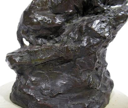 null John Macallan SWAN (1846-1910)
"Panthère sur un rocher"
Bronze à patine brun...