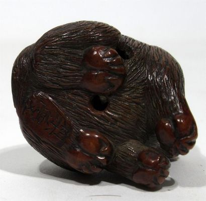 null Beau netsuke bien patiné en buis représentant un amusant chiot assis aux yeux...