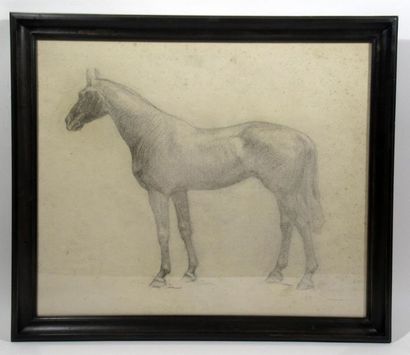 null André MARCHAND (1877-1951) attribué à 
"Etude de cheval"
Pierre noire sur papier...