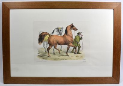 null H. ADAM (d'après)
"Chevaux et Jockeys"
Deux grandes gravures en couleur signées...