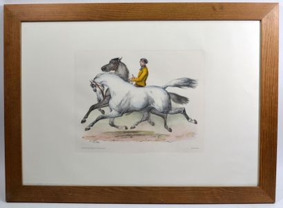 null H. ADAM (d'après)
"Chevaux et Jockeys"
Deux grandes gravures en couleur signées...
