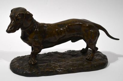null Albert Pierre LAPLANCHE (1854-1935)
"Dachshund" Bronze
print with medal patina...