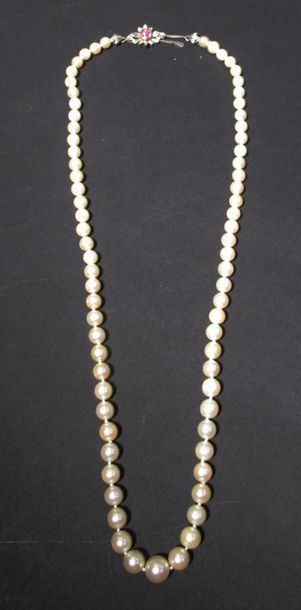null NECKLACE OF PEARL known as "Acoya" arranged in fall, the white gold clasp 750/1000e...