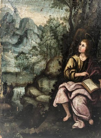 null Ecole hollandaise du XVIIe siècle
"Saint Jean à Patmos"
Huile sur panneau 
Dimensions...
