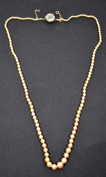null NECK a row of FINE PEARLS containing 139 pearls held by an 18 K (750/oo) white...
