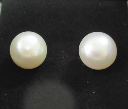 null Pair of white cultured pearl earrings on gold metal frame 