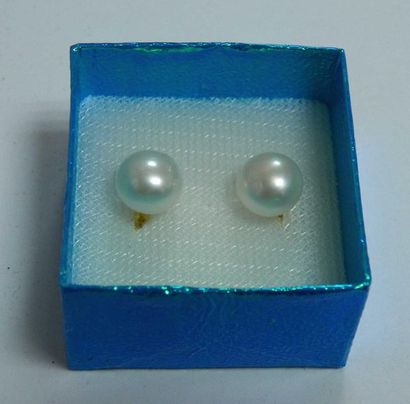 null Pair of earrings decorated with a cultured pearl on gold metal frame (in a blue...