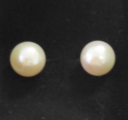 null Pair of cultured pearl earrings on gold metal frame